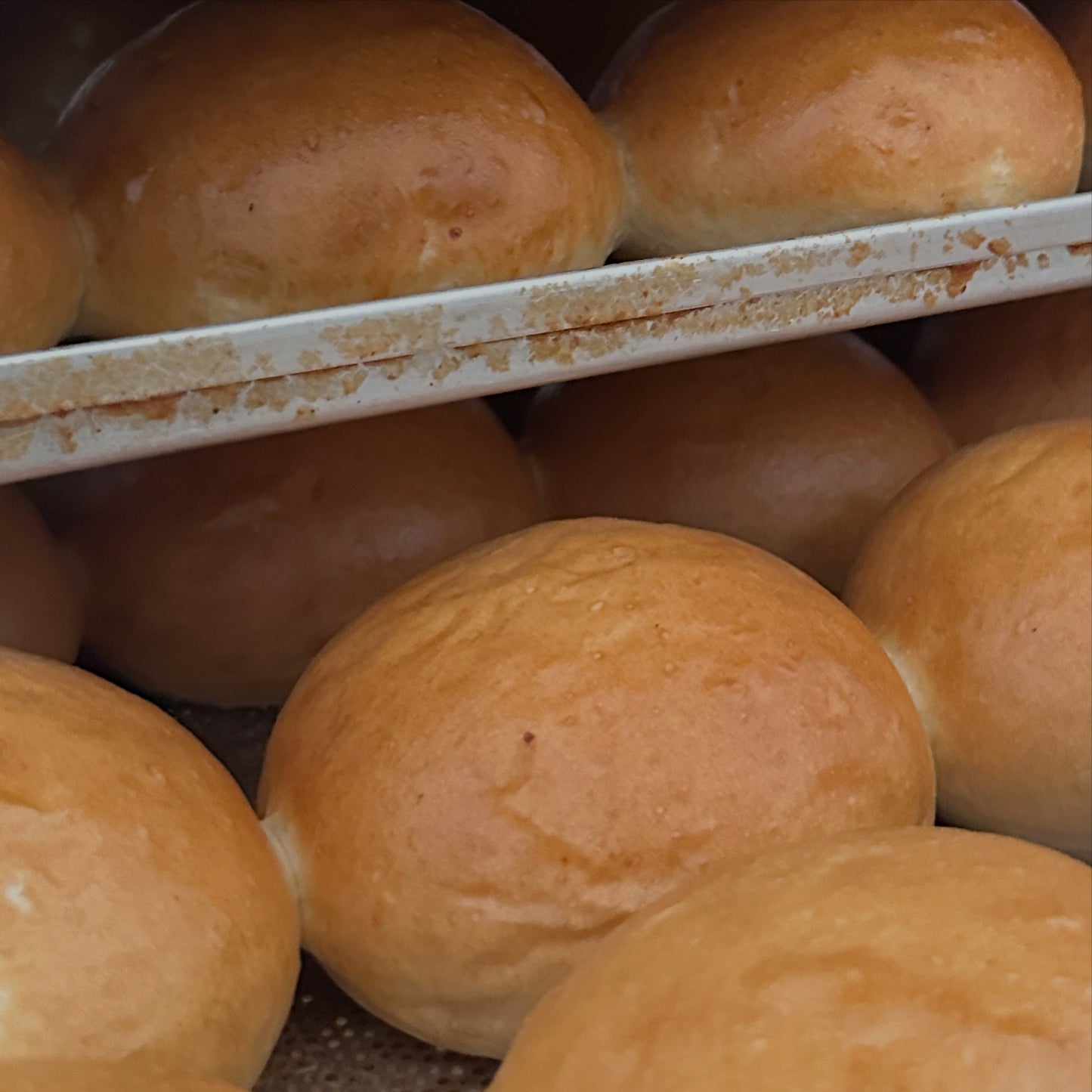 Potato bun nuvola alto